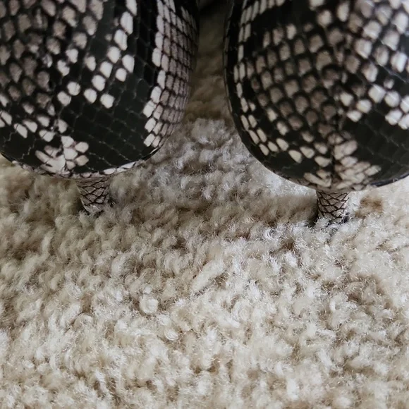 NWOT Talbots Iona Kitten Heel Bootie Size 6M - New - Picture 6 of 7